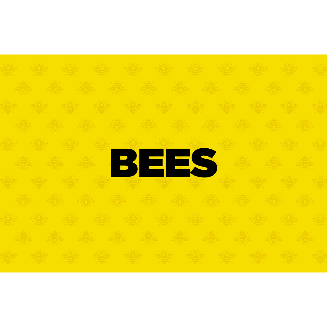 BEES (YELLOW)